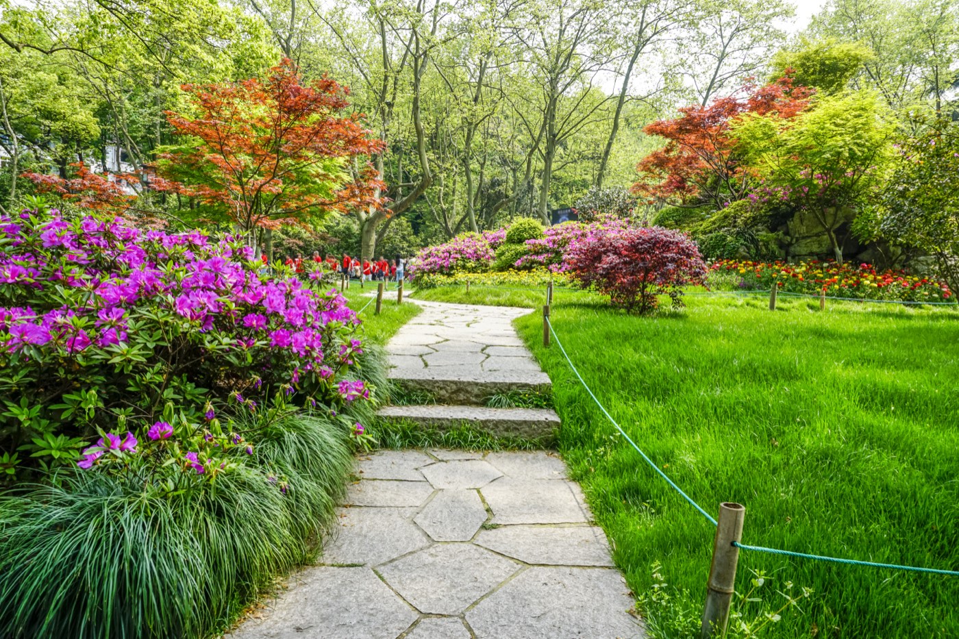 Création de jardin paysager